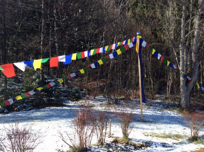 backyard-flags-IMG_1676